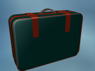 luggage

