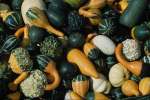 Background 752046.JPG  Gourds (vegetables)
