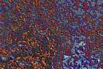 Abstract_Color 833033.JPG Corrosion
