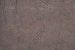 Background 3035.JPG  LEATHERETTE PAPER 	background.JPG  leather.JPG  paper.JPG  leatherette.JPG  rough.JPG  brown