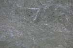 Background 3038.JPG  MARBLE TWILIGHT JADE 	background.JPG  stone.JPG  marble.JPG  rough.JPG  jade.JPG  grey.JPG  white.JPG  green

