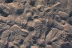 Background 3043.JPG  SAND 	background.JPG  sand.JPG  beach.JPG  brown.JPG  patterned.JPG  footprints
