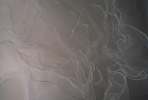 Background 3053.JPG  ILLUSION FABRIC 	background.JPG  abstract.JPG  fabric.JPG  cloth.JPG  translucent.JPG  clear.JPG  silk.JPG  white
