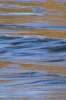 Background 3062.JPG  RIPPLING WATER	background.JPG  nature.JPG  water.JPG  blue.JPG  river
