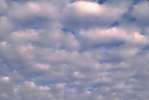 Background 3064.JPG  CLOUDS 	background.JPG  nature.JPG  clouds.JPG  sky.JPG  puffy.JPG  white.JPG  blue
