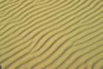 Background 3077.JPG  SAND 	background.JPG  stone.JPG  sand.JPG  beach.JPG  rippled.JPG  patterned.JPG  brown
