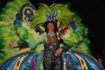 Green 675080.JPG Costume for Brazilian Carnival