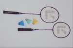 Objects 758059.JPG Racquets and birds