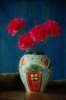 Objects 764011.JPG Red carnations in vase
