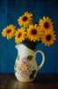 Objects 764012.JPG Yellow daisies in jug
