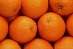 Orange 699009.JPG Oranges
