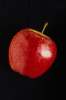 Red 616073.JPG Red delicious apple