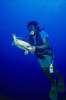 Underwater 787041.JPG Diver with Hawksbill turtle