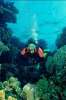 Underwater 787077.JPG Diver scene c