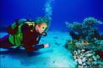 Underwater 787091.JPG Diver studying coral reef
