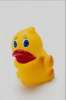 Yellow 674048.JPG Baby duck