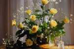 Yellow 674094.JPG Yellow roses